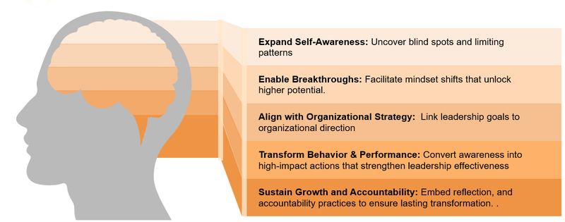 Leadership Development and Self-Awareness